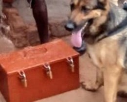 Ababadde babbye akabokisi ka sente e Nakaseke – police ebakutte kakyabalemye okusumulula