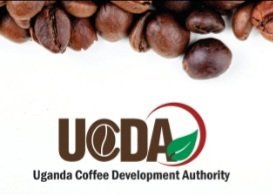 Ababaka ba NRM bakusalawo eky’enkomeredde ku bitongole bya government ebirina okuggyibwawo – abalimi b’emmwanyi babalabudde UCDA mujiveeko