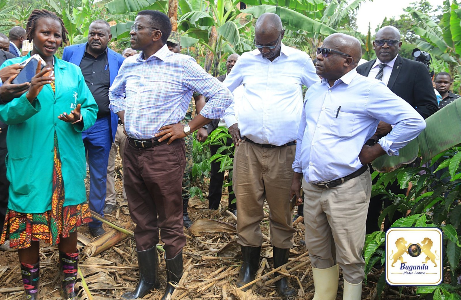 Abalimi b’emmwanyi e Kabula baloopedde Katikkiro ebizibu byebasanga – beraliikirivu olw’okuggyibwawo kwa UCDA