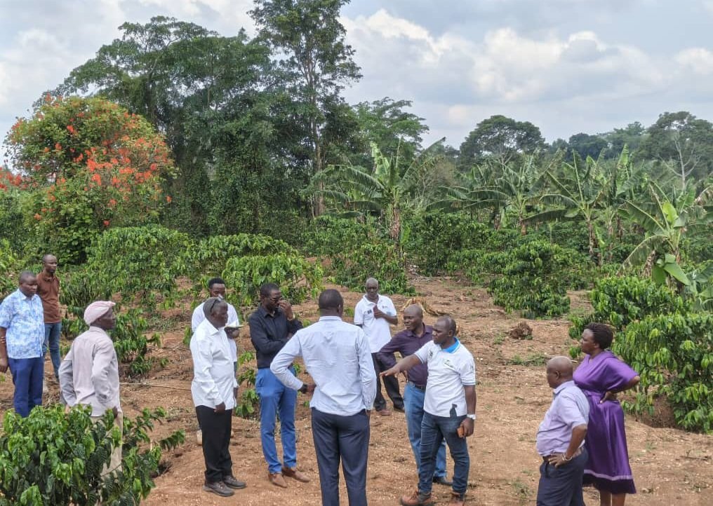 Abalimi e Bukomansimbi bawaanjagidde government okwongera amaanyi mu nkola y’okuyambako abalimi mu by’okufukirira ebirime okuyita mu nkola ya Micro Scale Irrigation