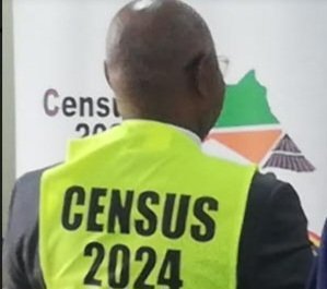 Bannauganda bangi bakonkomalidde mu maka gabwe nga balinda okubalibwa abakozi tebalabiseeko – UBOS yetonze