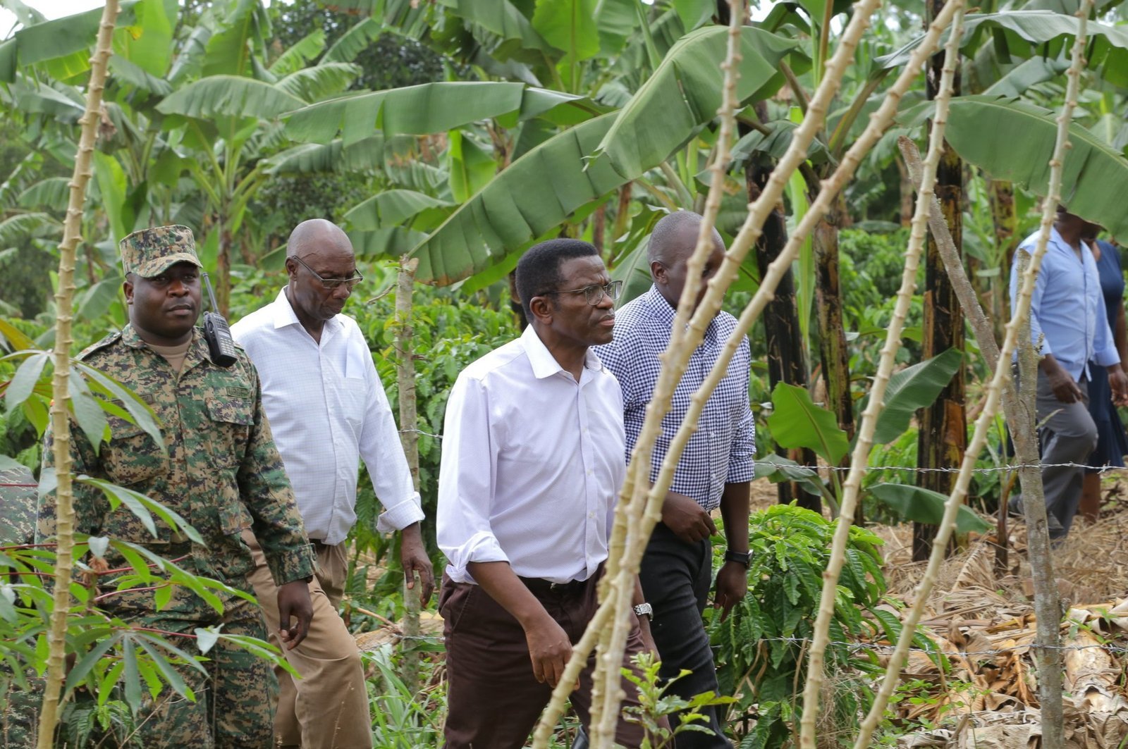 Katikkiro Mayiga alaambudde abalimi b’emmwanyi mu ssaza Busujju –  naawa abavubuka amagezi okweyambisa ettaka lya bakadde babwe bafune entandikwa