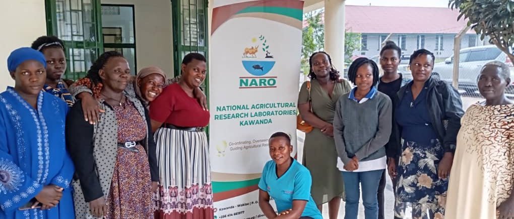 Omwoleso gwa CBS PEWOSA  e Masaka gwengedde – NARO ebangudde abakyala okwongera omutindo ku byebakola