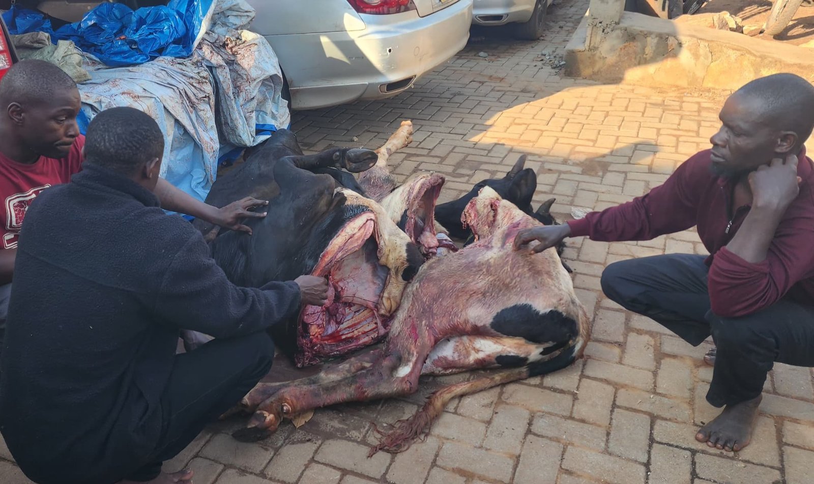 Police ekutte abantu 3 mu Kampala- bakwatiddwa n’ennyama y’ente eteeberezebwa okuba ey’ente enzibe