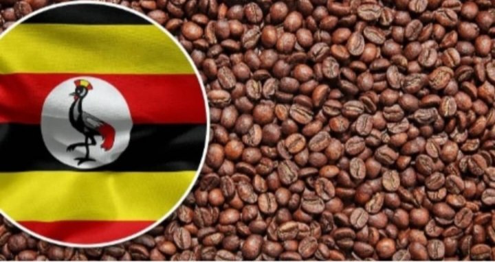 Uganda ng’ekolagana ne Saudi Arabia zigenda kuzimba ekkolero e Luweero eryongera omutindo ku mmwanyi  – lyakuwemmenta obuwumbi bwa shs obusoba mu 574