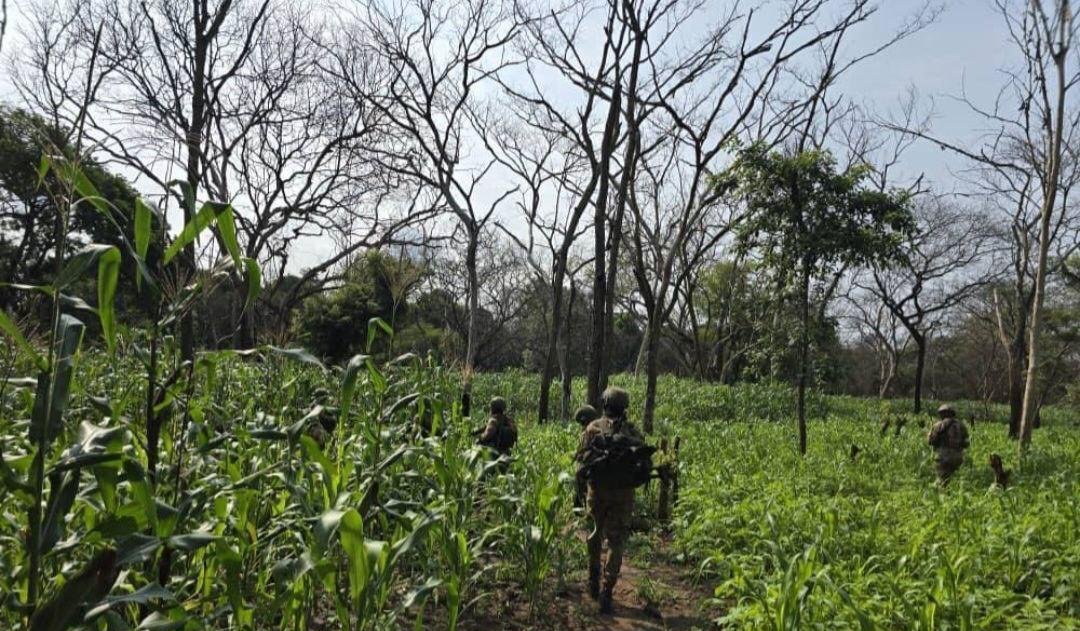 UPDF ne bannamukago bongedde okufuuza abayeekera ba Joseph Kony – enkambi 3 baziteekedde omuliro